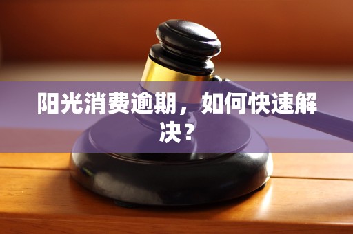 阳光消费逾期，如何快速解决？