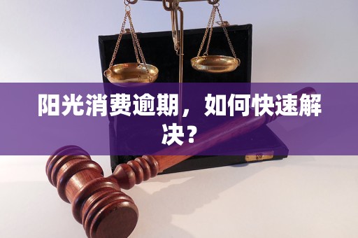 阳光消费逾期，如何快速解决？
