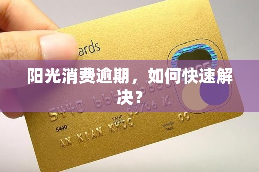 阳光消费逾期，如何快速解决？
