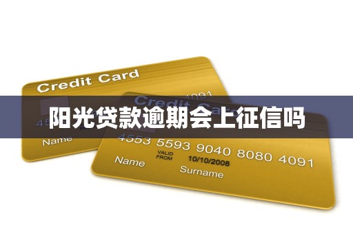 阳光贷款逾期会上征信吗