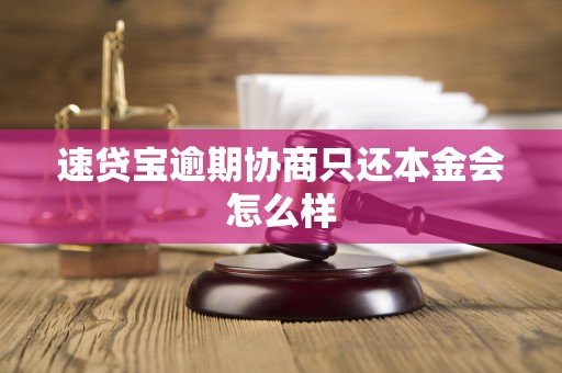 速贷宝逾期协商只还本金会怎么样