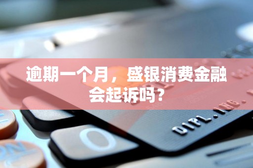 逾期一个月，盛银消费金融会起诉吗？