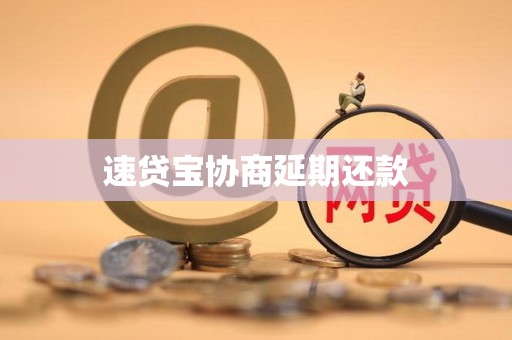 速贷宝协商延期还款