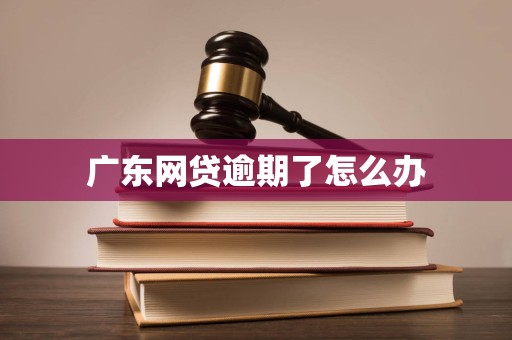 广东网贷逾期了怎么办