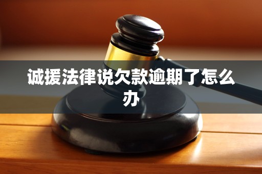 诚援法律说欠款逾期了怎么办