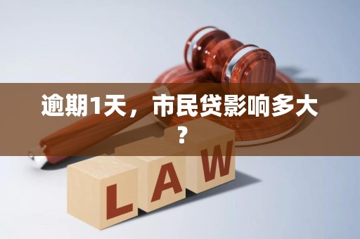 逾期1天，市民贷影响多大？