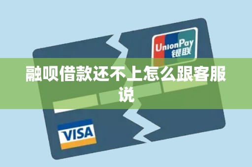 融呗借款还不上怎么跟客服说
