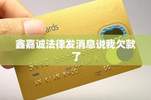 鑫嘉诚法律发消息说我欠款了