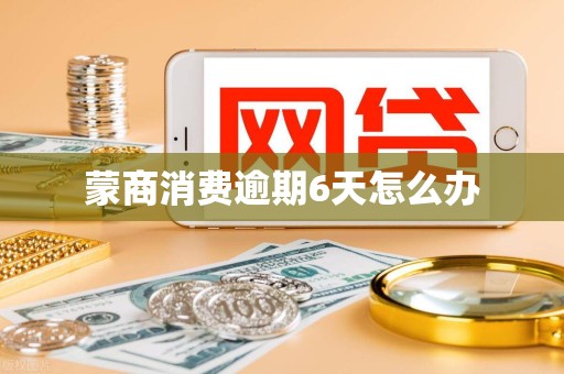 蒙商消费逾期6天怎么办