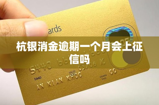 杭银消金逾期一个月会上征信吗