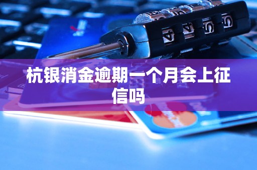 杭银消金逾期一个月会上征信吗