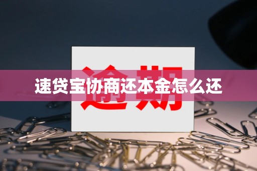 速贷宝协商还本金怎么还