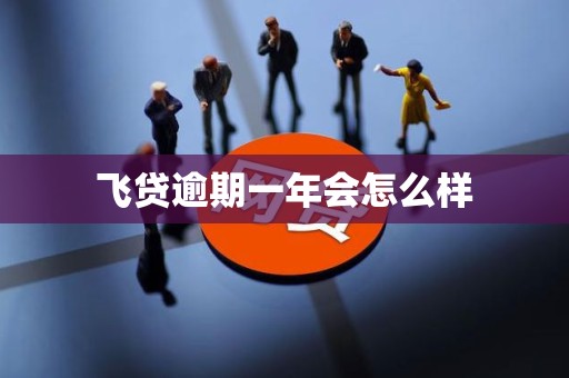 飞贷逾期一年会怎么样
