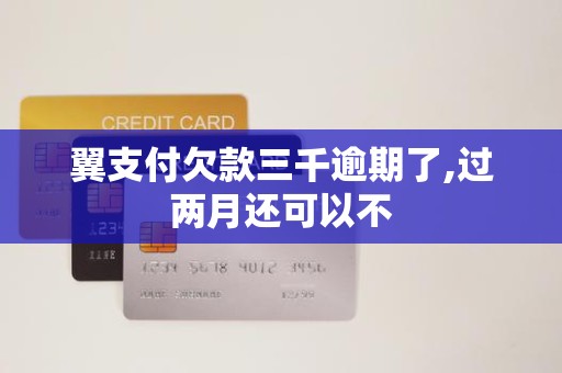翼支付欠款三千逾期了,过两月还可以不