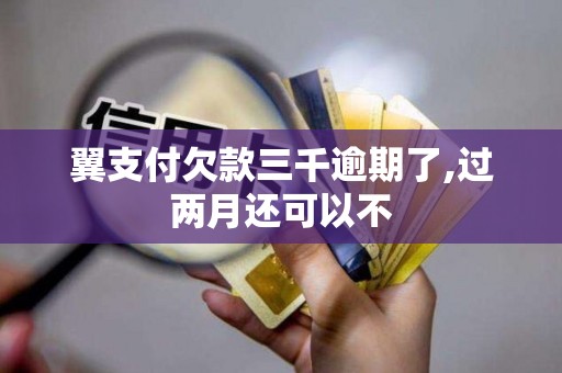 翼支付欠款三千逾期了,过两月还可以不