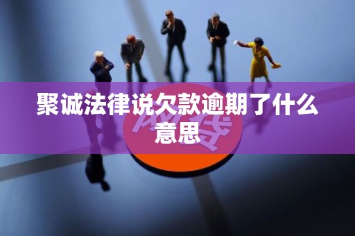 聚诚法律说欠款逾期了什么意思