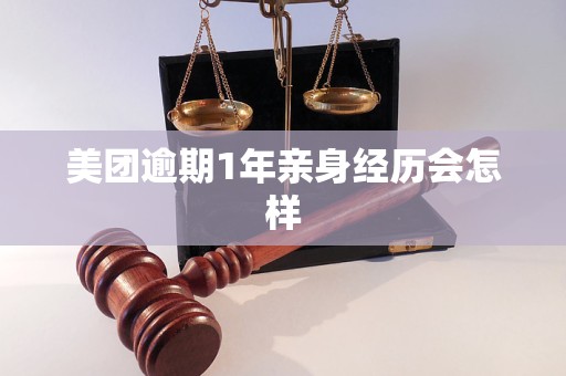 美团逾期1年亲身经历会怎样