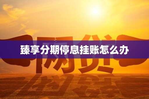 臻享分期停息挂账怎么办