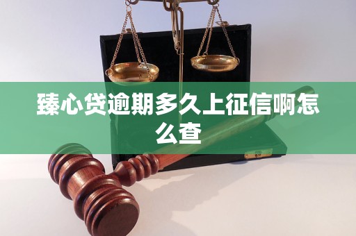 臻心贷逾期多久上征信啊怎么查 臻心贷逾期多久上征信啊怎么查