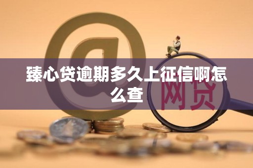 臻心贷逾期多久上征信啊怎么查 臻心贷逾期多久上征信啊怎么查