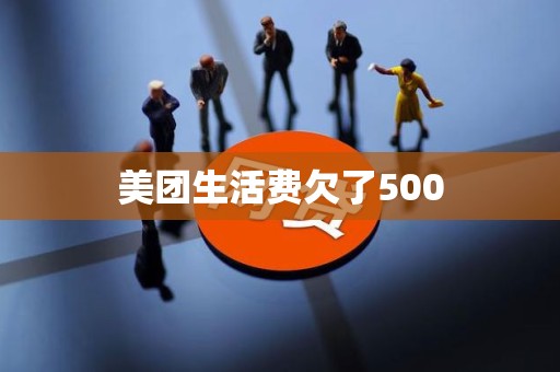 美团生活费欠了500