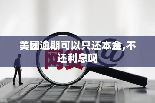 美团逾期可以只还本金,不还利息吗