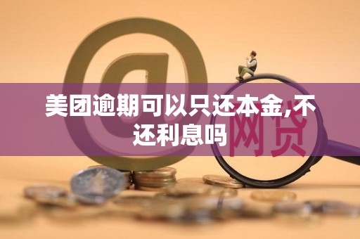 美团逾期可以只还本金,不还利息吗