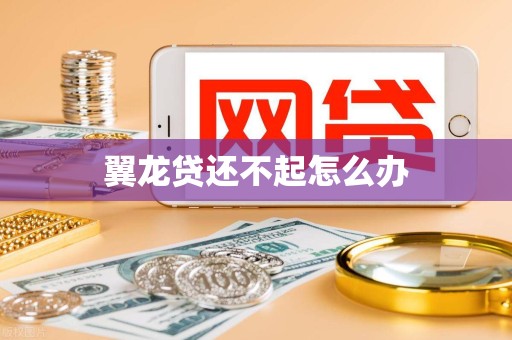 翼龙贷还不起怎么办