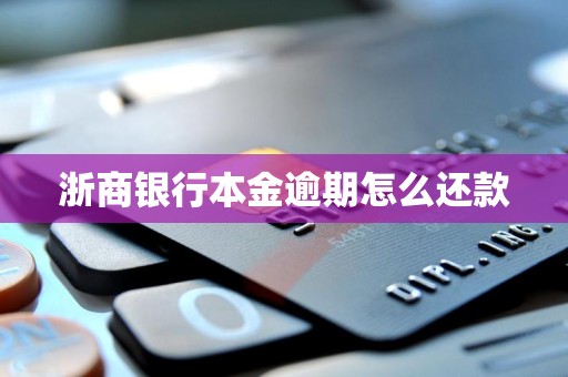 浙商银行本金逾期怎么还款