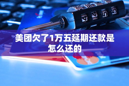 美团欠了1万五延期还款是怎么还的