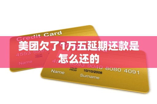 美团欠了1万五延期还款是怎么还的