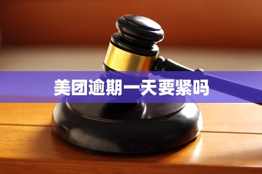 美团逾期一天要紧吗 美团逾期一天要紧吗