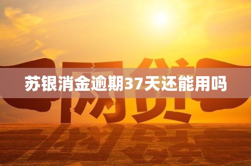 苏银消金逾期37天还能用吗