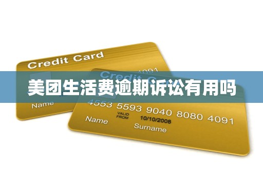 美团生活费逾期诉讼有用吗
