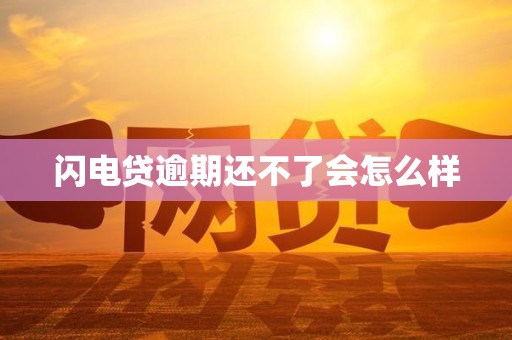 闪电贷逾期还不了会怎么样