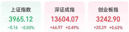 催化领域_催化能力_