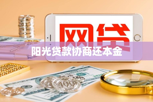 阳光贷款协商还本金