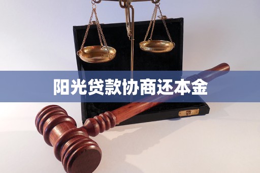 阳光贷款协商还本金