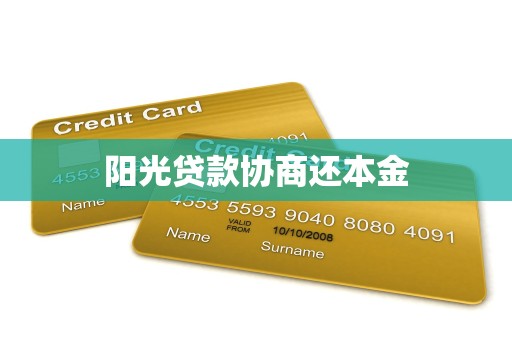 阳光贷款协商还本金