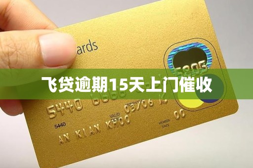 飞贷逾期15天上门催收