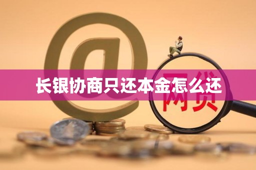 长银协商只还本金怎么还