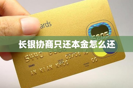 长银协商只还本金怎么还