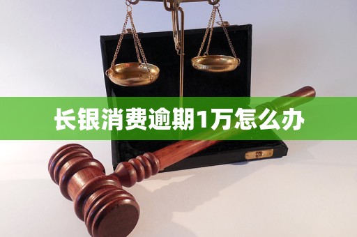 长银消费逾期1万怎么办