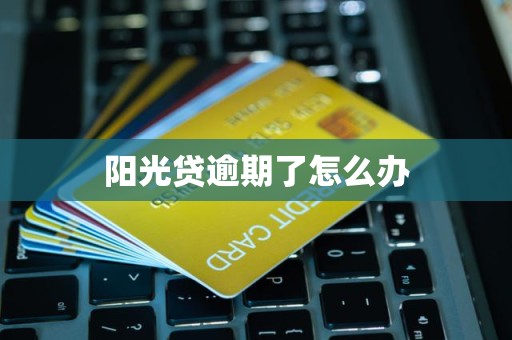 阳光贷逾期了怎么办