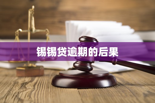 锡锡贷逾期的后果