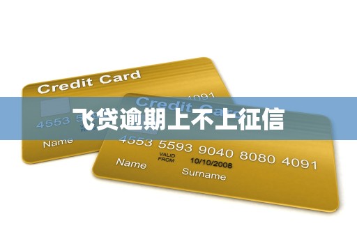 飞贷逾期上不上征信