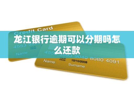 龙江银行逾期可以分期吗怎么还款