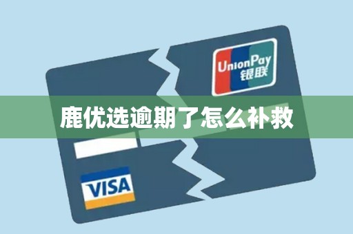 鹿优选逾期了怎么补救