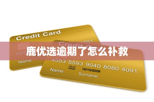 鹿优选逾期了怎么补救