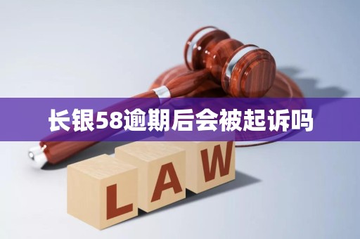 长银58逾期后会被起诉吗